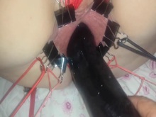 Pussy Training - Part 1