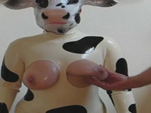 Euter - Hucow