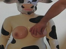 Euter - Hucow
