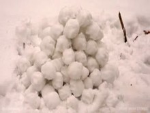 Queensnake.com - Short Snow Stories 2