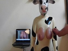 Bimbo HuCow