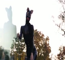Latex Pet Outdoors