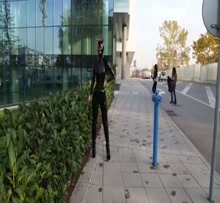 Latex Pet Outdoors