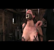 Electro for the bitch