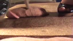 Heel for cock