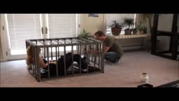 Caged property