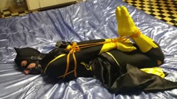 Batgirl tied up