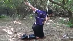 Strappado and breast bondage in the woods