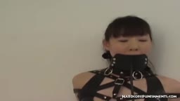 Hitachi wand and restraints