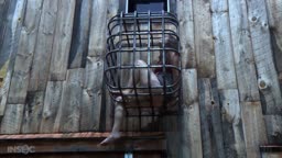 Infernal Restraints - Weekend in the Farm