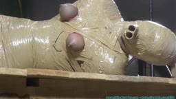 Packing tape - HD