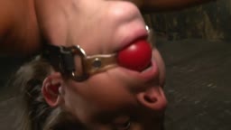 Presley Hart fucked in bondage