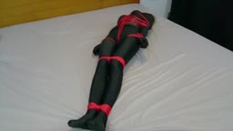 Spandex and panel gag with ropes