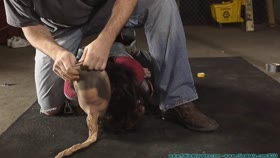 Duct Tape Hogtie and Breast Bondage