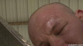 Cruel Whipping Outdoors