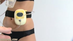 Hucow in Steel Restraints