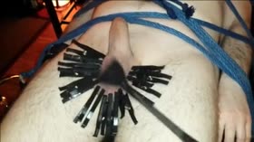 Cloth pegs for balls