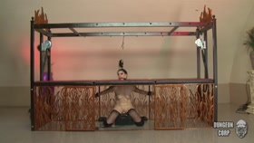 taken Sybian Ride