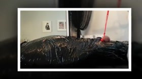 Mummified for CBT