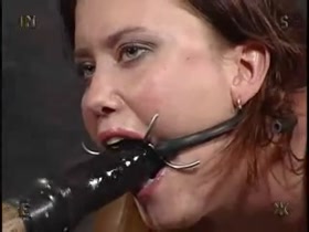 Stumped - Insex - Latex Electro and Extremes
