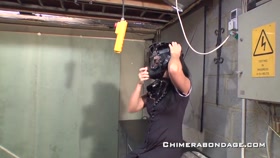 Chimera gets to hang around