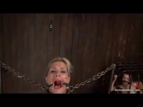 Steel Restraints, Chains and Rough Use
