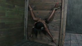 Ana Foxxx - Between the wall