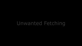Fetch bitch