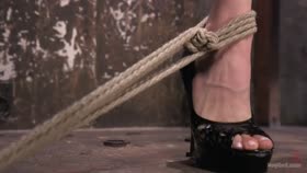 Penny Pax on the wall