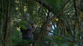 Caught in the woods