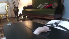 Trampling on a Slave's Cock