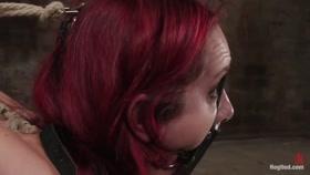 hogtied the brutal way