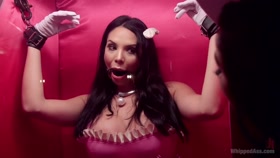 Porno Barbie: Lea Lexis