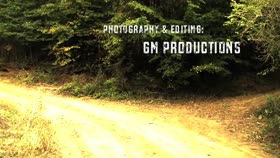 Taken to the woods