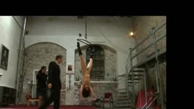 Whipped in inverted suspension