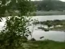 Pervert slut sucking many cocks outdoor