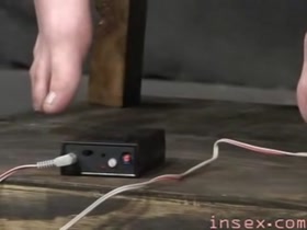 Insex - Tit torment