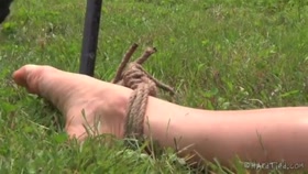 Outdoors BDSM and Discipline