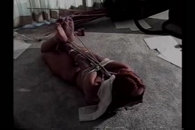 Sabrina Stone Hogtied Tight