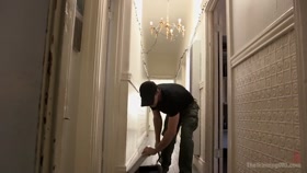 Domestic Obedience Training