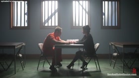 Lawyer in the prison