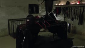 Hogtied in Rubber