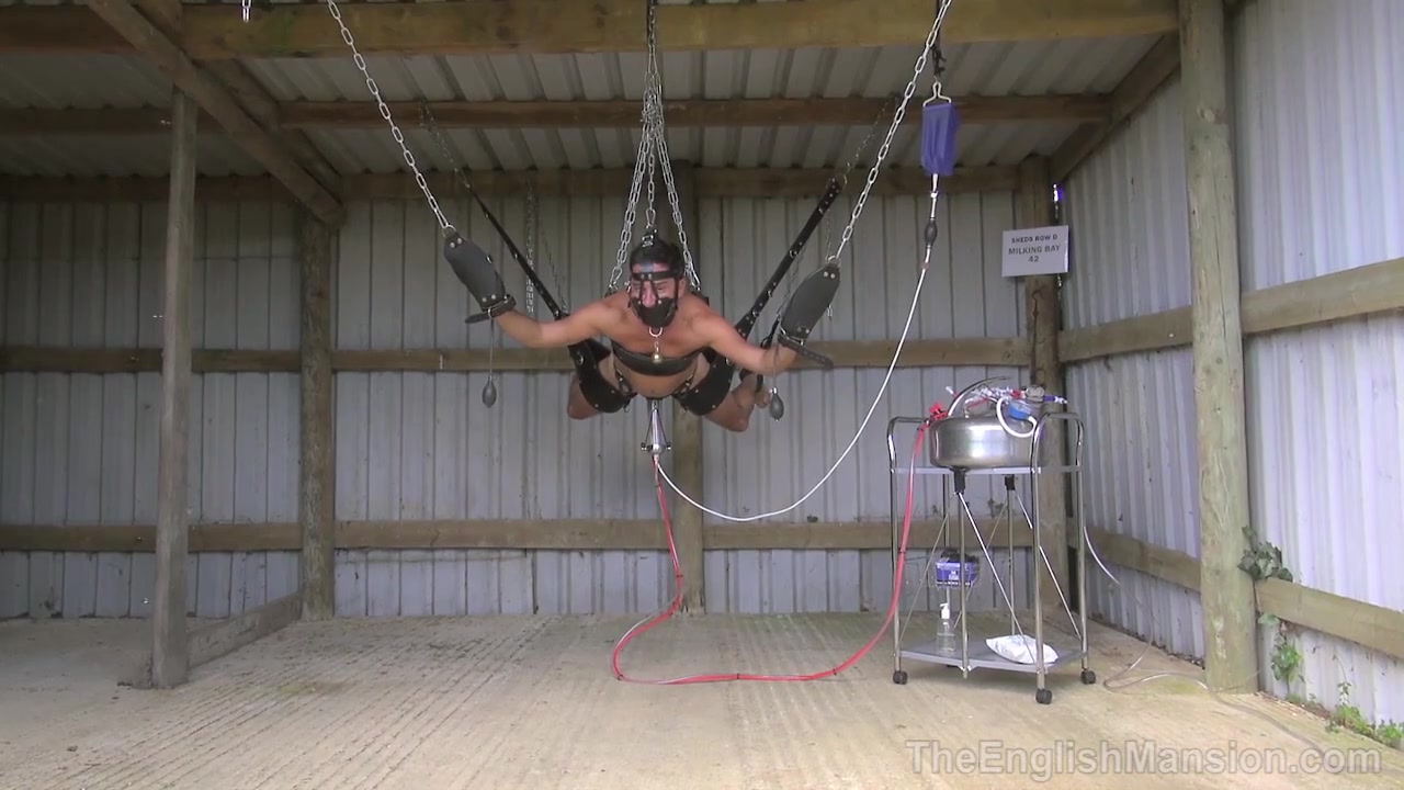 Cock Milking in the Air
