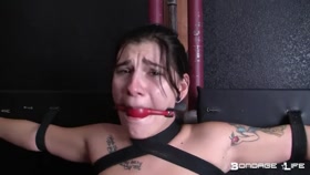 Cassie Forced to Cum