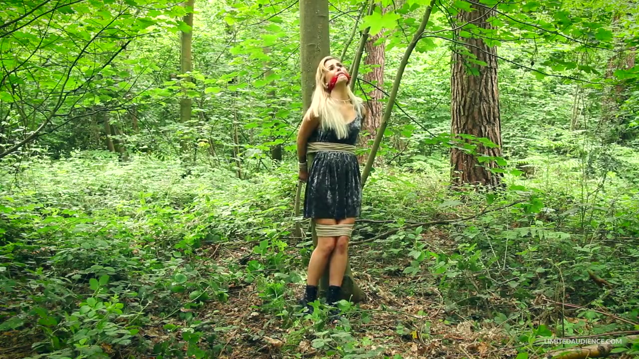 Bondage in The Forest