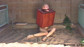 Boxed up and Gagged