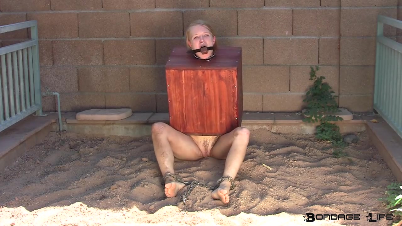 Boxed up and Gagged