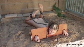 Pillory in the Sand