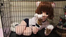 Japanese Cosplay for Caged Pet