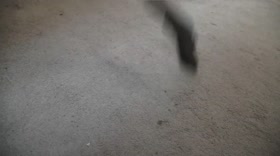 Chinese Bondage BDSM